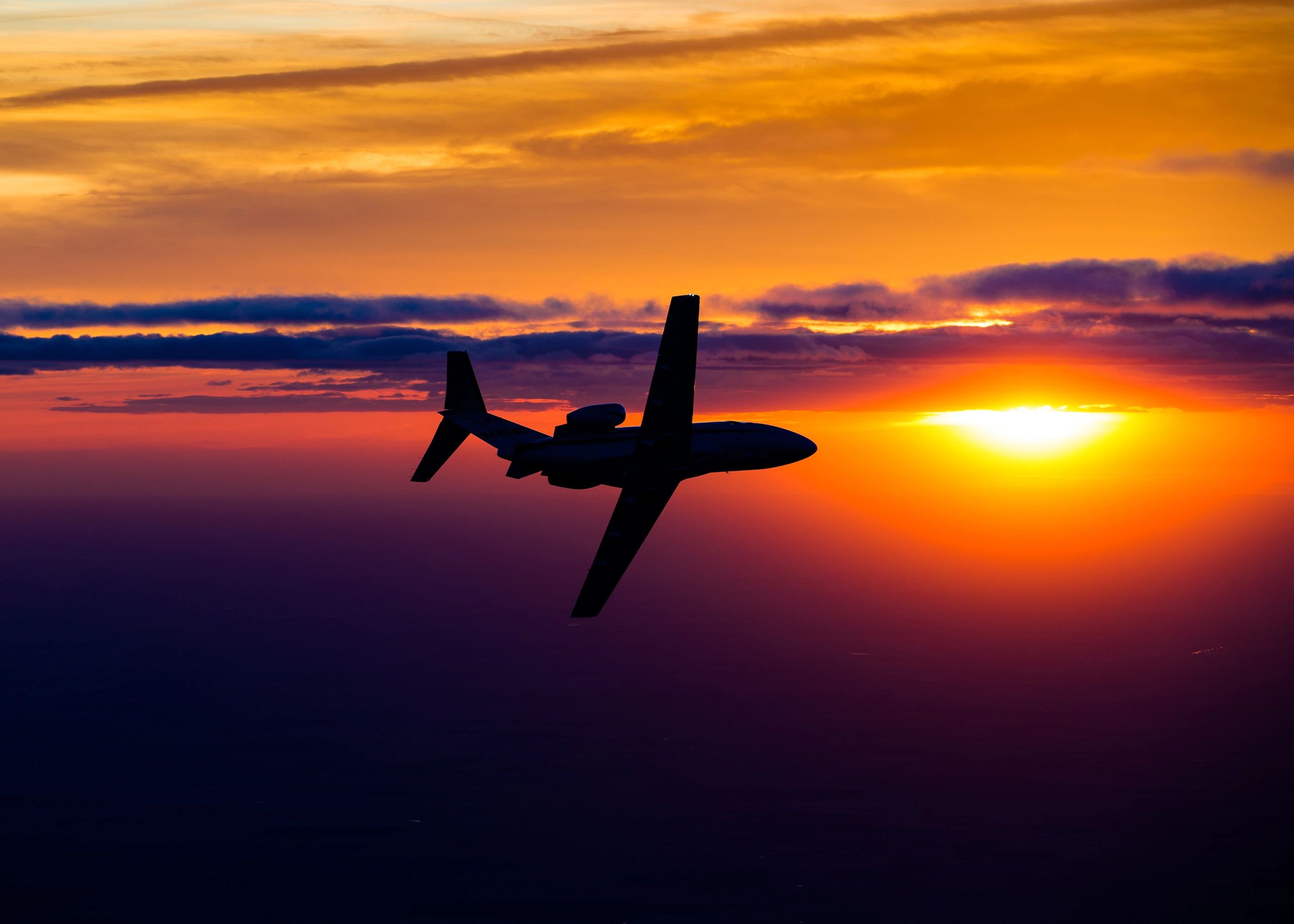 Hawk Landings
